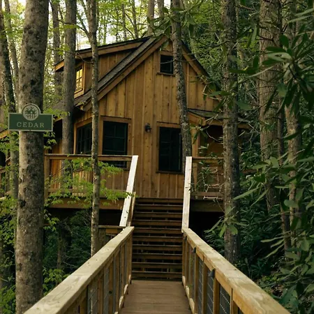 The Cedar In Treehouse Grove At Norton Creek Villa